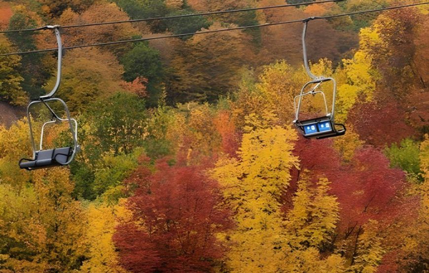 5 nights/6 days package