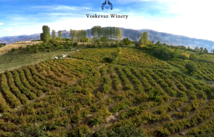Gourmet Dourme Chocolate Factory and Voskevaz vinery factory tour